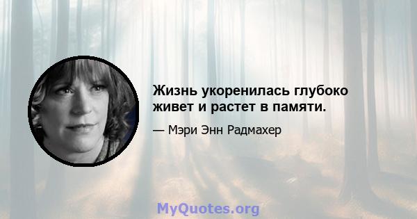 Жизнь укоренилась глубоко живет и растет в памяти.