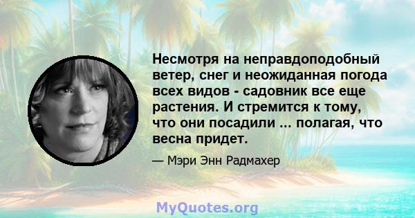 Несмотря на неправдоподобный ветер, снег и неожиданная погода всех видов - садовник все еще растения. И стремится к тому, что они посадили ... полагая, что весна придет.