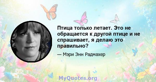 Птица только летает. Это не обращается к другой птице и не спрашивает, я делаю это правильно?