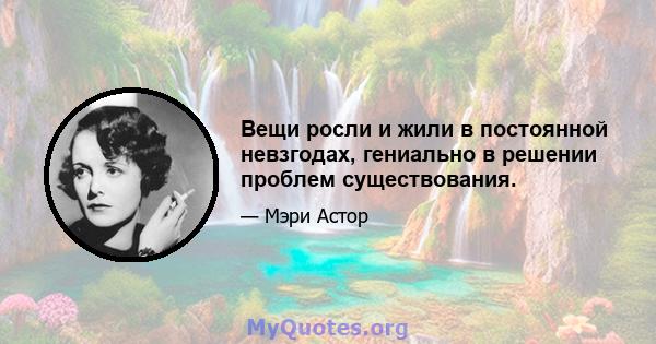 Вещи росли и жили в постоянной невзгодах, гениально в решении проблем существования.