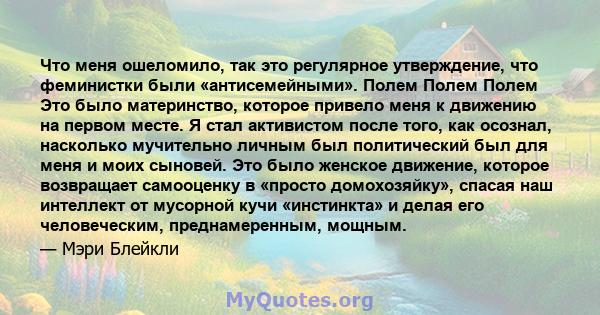 Что меня ошеломило, так это регулярное утверждение, что феминистки были «антисемейными». Полем Полем Полем Это было материнство, которое привело меня к движению на первом месте. Я стал активистом после того, как