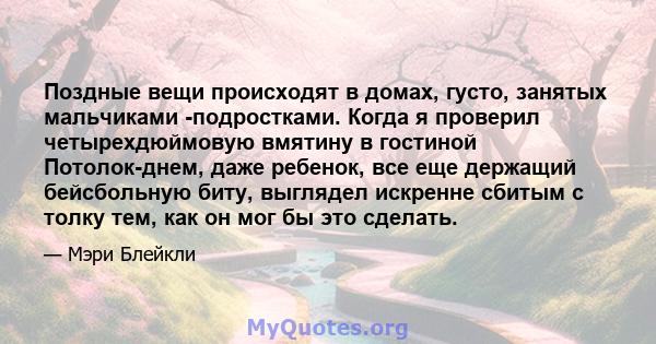 Поздные вещи происходят в домах, густо, занятых мальчиками -подростками. Когда я проверил четырехдюймовую вмятину в гостиной Потолок-днем, даже ребенок, все еще держащий бейсбольную биту, выглядел искренне сбитым с