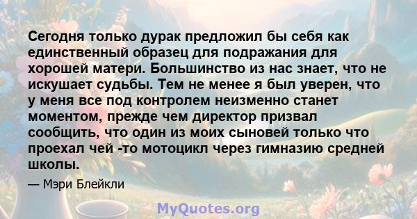 Сегодня только дурак предложил бы себя как единственный образец для подражания для хорошей матери. Большинство из нас знает, что не искушает судьбы. Тем не менее я был уверен, что у меня все под контролем неизменно