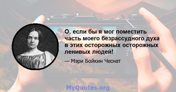 О, если бы я мог поместить часть моего безрассудного духа в этих осторожных осторожных ленивых людей!