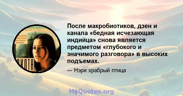 После макробиотиков, дзен и канала «бедная исчезающая индийца» снова является предметом «глубокого и значимого разговора» в высоких подъемах.