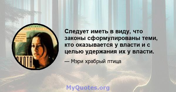 Следует иметь в виду, что законы сформулированы теми, кто оказывается у власти и с целью удержания их у власти.