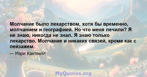 Молчание было лекарством, хотя бы временно, молчанием и географией. Но что меня лечили? Я не знаю, никогда не знал. Я знаю только лекарство. Молчание и никаких связей, кроме как с пейзажем.