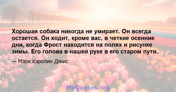 Хорошая собака никогда не умирает. Он всегда остается. Он ходит, кроме вас, в четкие осенние дни, когда Фрост находится на полях и рисунке зимы. Его голова в нашей руке в его старом пути.