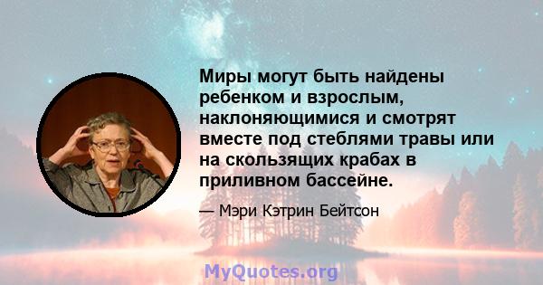 Миры могут быть найдены ребенком и взрослым, наклоняющимися и смотрят вместе под стеблями травы или на скользящих крабах в приливном бассейне.