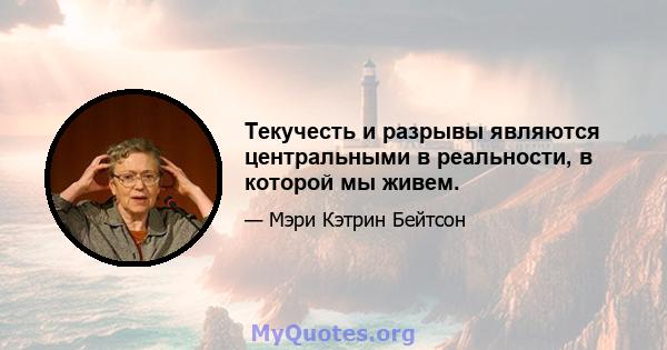 Текучесть и разрывы являются центральными в реальности, в которой мы живем.