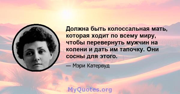 Должна быть колоссальная мать, которая ходит по всему миру, чтобы перевернуть мужчин на колени и дать им тапочку. Они сосны для этого.