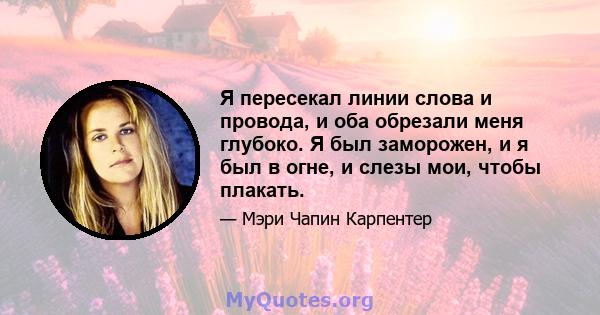 Я пересекал линии слова и провода, и оба обрезали меня глубоко. Я был заморожен, и я был в огне, и слезы мои, чтобы плакать.