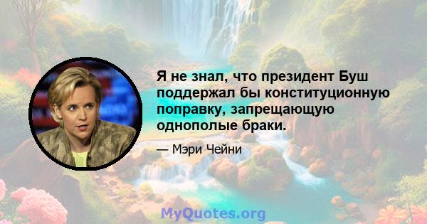 Я не знал, что президент Буш поддержал бы конституционную поправку, запрещающую однополые браки.