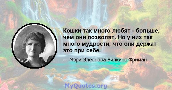 Кошки так много любят - больше, чем они позволят. Но у них так много мудрости, что они держат это при себе.