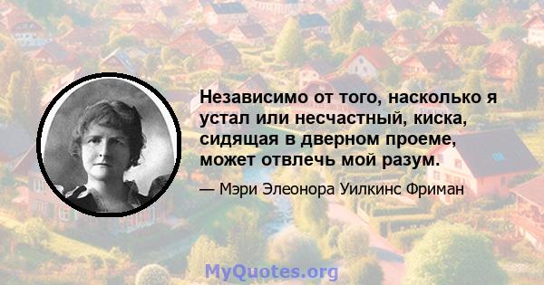 Независимо от того, насколько я устал или несчастный, киска, сидящая в дверном проеме, может отвлечь мой разум.