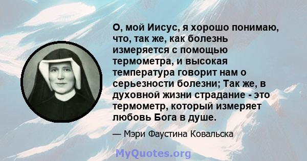 О, мой Иисус, я хорошо понимаю, что, так же, как болезнь измеряется с помощью термометра, и высокая температура говорит нам о серьезности болезни; Так же, в духовной жизни страдание - это термометр, который измеряет