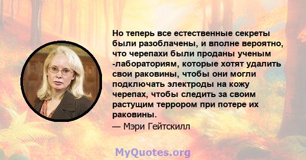 Но теперь все естественные секреты были разоблачены, и вполне вероятно, что черепахи были проданы ученым -лабораториям, которые хотят удалить свои раковины, чтобы они могли подключать электроды на кожу черепах, чтобы