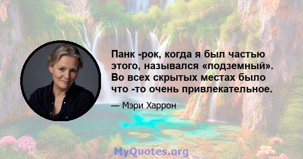 Панк -рок, когда я был частью этого, назывался «подземный». Во всех скрытых местах было что -то очень привлекательное.