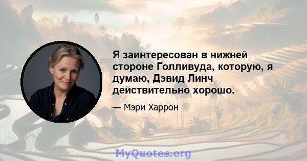 Я заинтересован в нижней стороне Голливуда, которую, я думаю, Дэвид Линч действительно хорошо.