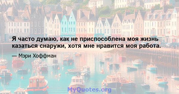 Я часто думаю, как не приспособлена моя жизнь казаться снаружи, хотя мне нравится моя работа.