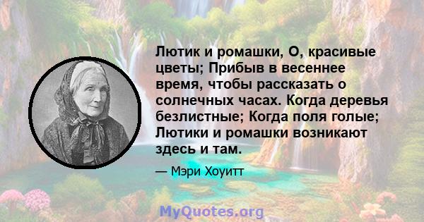 Лютик и ромашки, О, красивые цветы; Прибыв в весеннее время, чтобы рассказать о солнечных часах. Когда деревья безлистные; Когда поля голые; Лютики и ромашки возникают здесь и там.