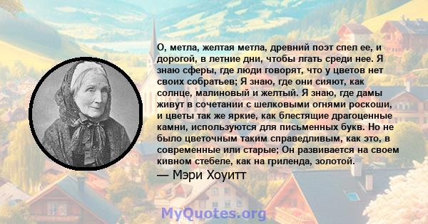 О, метла, желтая метла, древний поэт спел ее, и дорогой, в летние дни, чтобы лгать среди нее. Я знаю сферы, где люди говорят, что у цветов нет своих собратьев; Я знаю, где они сияют, как солнце, малиновый и желтый. Я