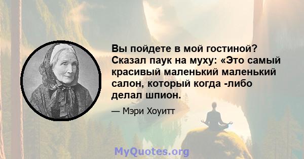 Вы пойдете в мой гостиной? Сказал паук на муху: «Это самый красивый маленький маленький салон, который когда -либо делал шпион.