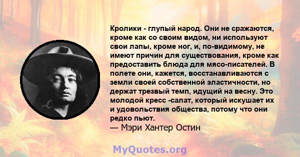 Кролики - глупый народ. Они не сражаются, кроме как со своим видом, ни используют свои лапы, кроме ног, и, по-видимому, не имеют причин для существования, кроме как предоставить блюда для мясо-писателей. В полете они,