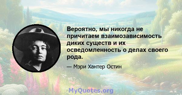 Вероятно, мы никогда не причитаем взаимозависимость диких существ и их осведомленность о делах своего рода.