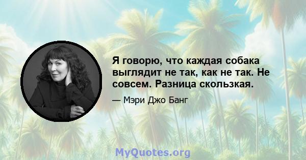 Я говорю, что каждая собака выглядит не так, как не так. Не совсем. Разница скользкая.