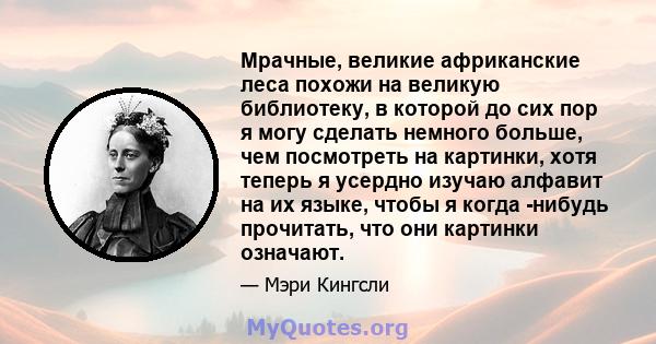 Мрачные, великие африканские леса похожи на великую библиотеку, в которой до сих пор я могу сделать немного больше, чем посмотреть на картинки, хотя теперь я усердно изучаю алфавит на их языке, чтобы я когда -нибудь