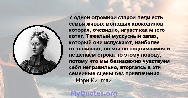 У одной огромной старой леди есть семья живых молодых крокодилов, которая, очевидно, играет как много котят. Тяжелый мускусный запах, который они испускают, наиболее отталкивает, но мы не поднимаемся и не делаем строка