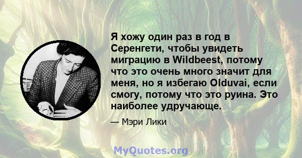 Я хожу один раз в год в Серенгети, чтобы увидеть миграцию в Wildbeest, потому что это очень много значит для меня, но я избегаю Olduvai, если смогу, потому что это руина. Это наиболее удручающе.