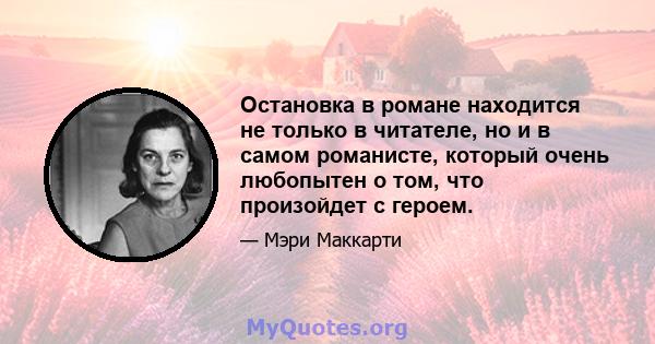 Остановка в романе находится не только в читателе, но и в самом романисте, который очень любопытен о том, что произойдет с героем.