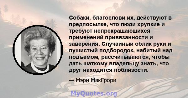 Собаки, благослови их, действуют в предпосылке, что люди хрупкие и требуют непрекращающихся применений привязанности и заверения. Случайный облик руки и пушистый подбородок, набитый над подъемом, рассчитываются, чтобы