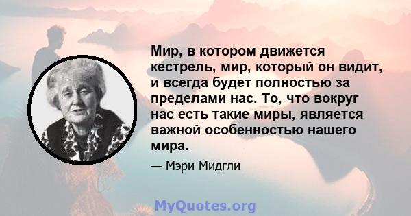 Мир, в котором движется кестрель, мир, который он видит, и всегда будет полностью за пределами нас. То, что вокруг нас есть такие миры, является важной особенностью нашего мира.