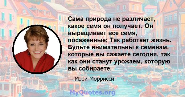 Сама природа не различает, какое семя он получает. Он выращивает все семя, посаженные; Так работает жизнь. Будьте внимательны к семенам, которые вы сажаете сегодня, так как они станут урожаем, которую вы собираете.