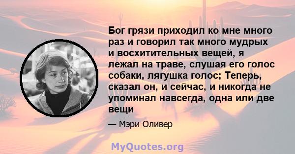 Бог грязи приходил ко мне много раз и говорил так много мудрых и восхитительных вещей, я лежал на траве, слушая его голос собаки, лягушка голос; Теперь, сказал он, и сейчас, и никогда не упоминал навсегда, одна или две