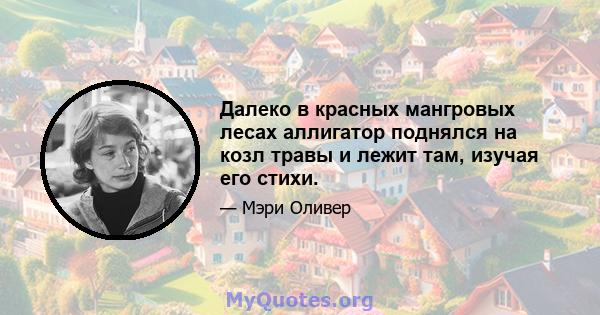 Далеко в красных мангровых лесах аллигатор поднялся на козл травы и лежит там, изучая его стихи.