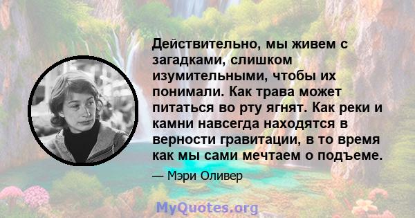 Действительно, мы живем с загадками, слишком изумительными, чтобы их понимали. Как трава может питаться во рту ягнят. Как реки и камни навсегда находятся в верности гравитации, в то время как мы сами мечтаем о подъеме.