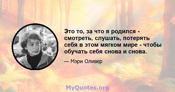 Это то, за что я родился - смотреть, слушать, потерять себя в этом мягком мире - чтобы обучать себя снова и снова.