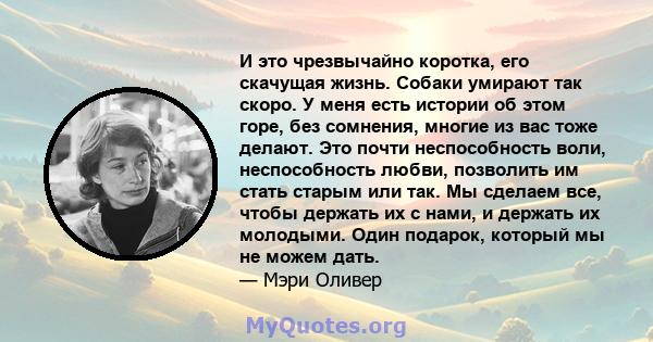 И это чрезвычайно коротка, его скачущая жизнь. Собаки умирают так скоро. У меня есть истории об этом горе, без сомнения, многие из вас тоже делают. Это почти неспособность воли, неспособность любви, позволить им стать