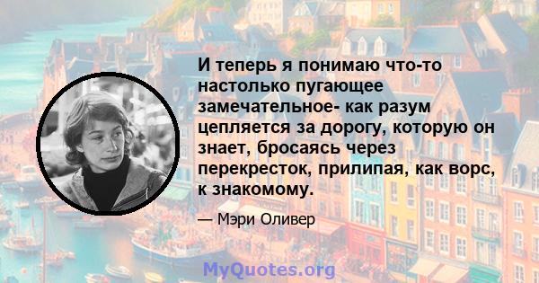 И теперь я понимаю что-то настолько пугающее замечательное- как разум цепляется за дорогу, которую он знает, бросаясь через перекресток, прилипая, как ворс, к знакомому.