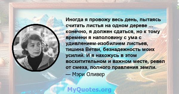 Иногда я провожу весь день, пытаясь считать листья на одном дереве ... конечно, я должен сдаться, но к тому времени я наполовину с ума с удивлением-изобилием листьев, тишина Ветви, безнадежность моих усилий. И я