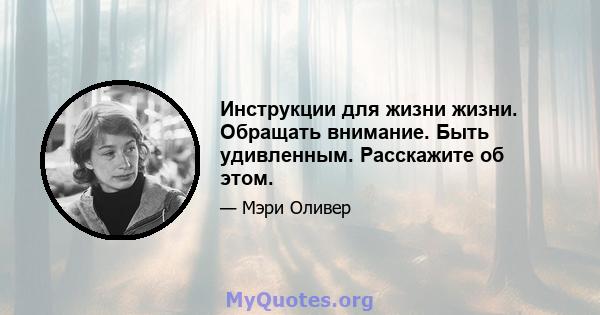 Инструкции для жизни жизни. Обращать внимание. Быть удивленным. Расскажите об этом.