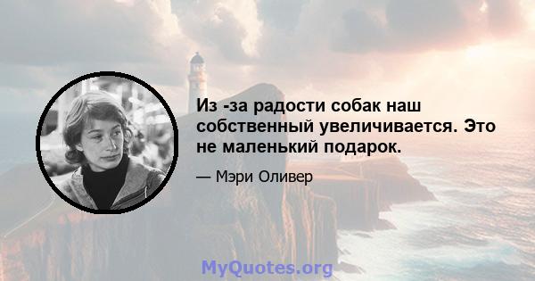 Из -за радости собак наш собственный увеличивается. Это не маленький подарок.