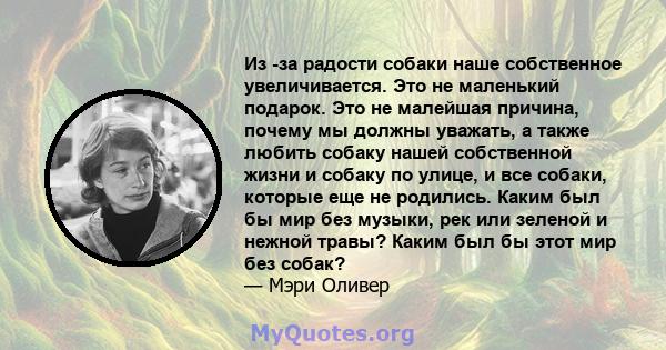 Из -за радости собаки наше собственное увеличивается. Это не маленький подарок. Это не малейшая причина, почему мы должны уважать, а также любить собаку нашей собственной жизни и собаку по улице, и все собаки, которые