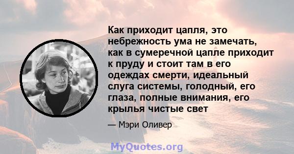 Как приходит цапля, это небрежность ума не замечать, как в сумеречной цапле приходит к пруду и стоит там в его одеждах смерти, идеальный слуга системы, голодный, его глаза, полные внимания, его крылья чистые свет