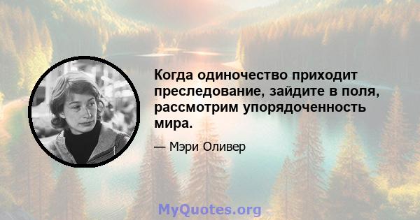 Когда одиночество приходит преследование, зайдите в поля, рассмотрим упорядоченность мира.