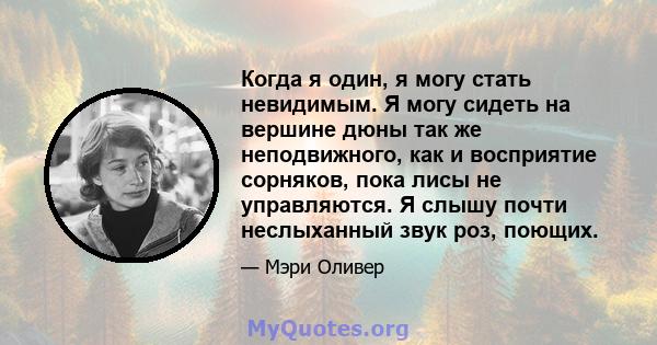 Когда я один, я могу стать невидимым. Я могу сидеть на вершине дюны так же неподвижного, как и восприятие сорняков, пока лисы не управляются. Я слышу почти неслыханный звук роз, поющих.